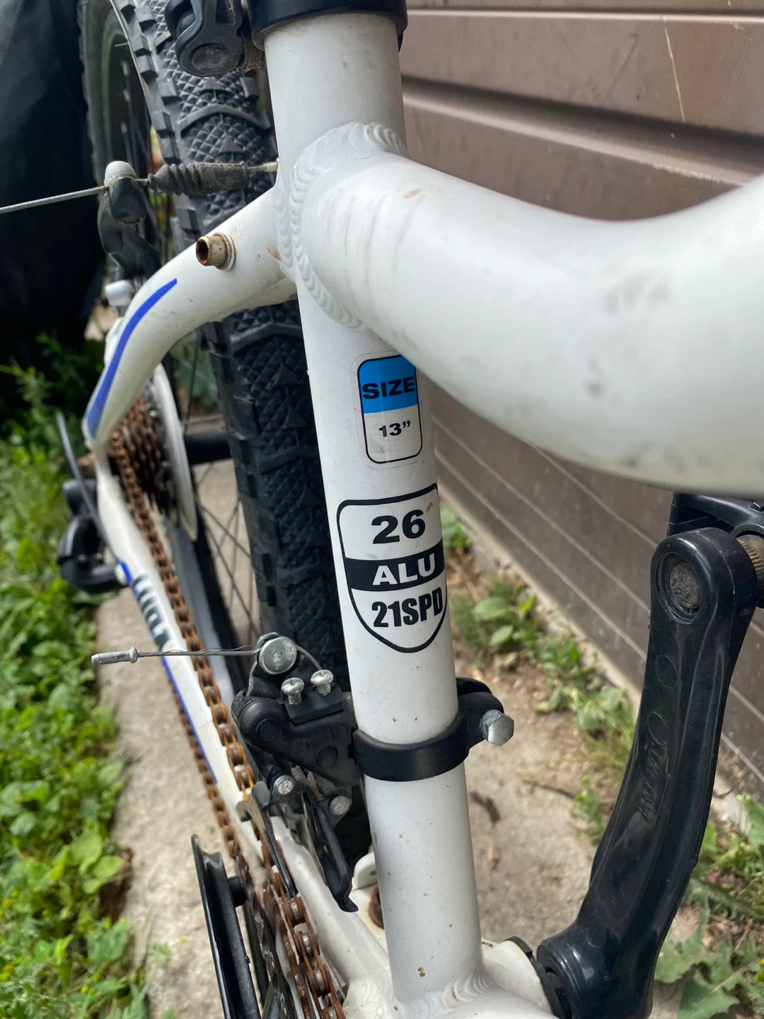 Reebok 24” ALUMINUM 21SPD 13" girl bike image indicator(5)