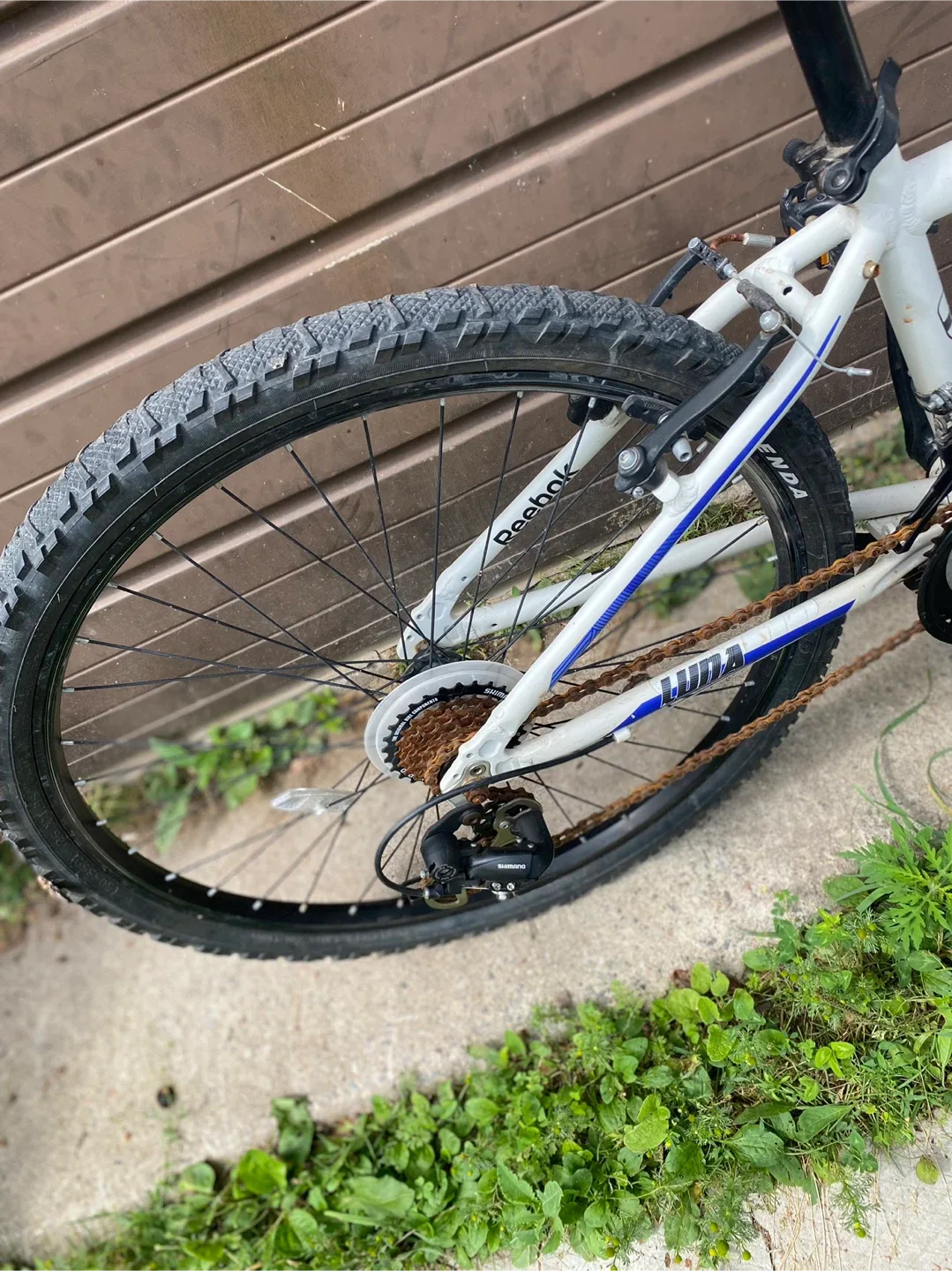 Reebok 24” ALUMINUM 21SPD 13" girl bike image indicator(6)