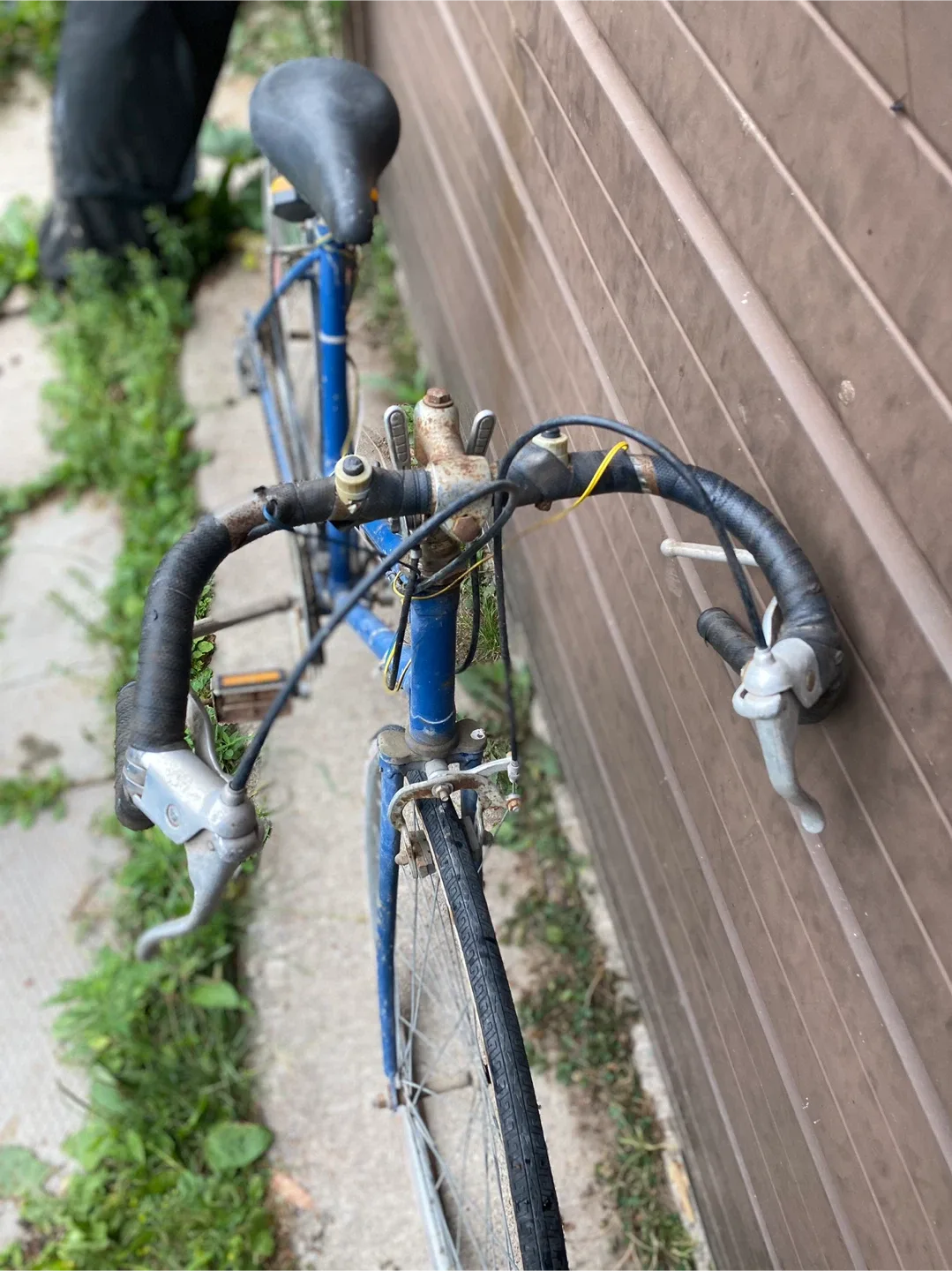 Vintage 1980 super cycle Bicycle - Selle Royal Seat image indicator(3)