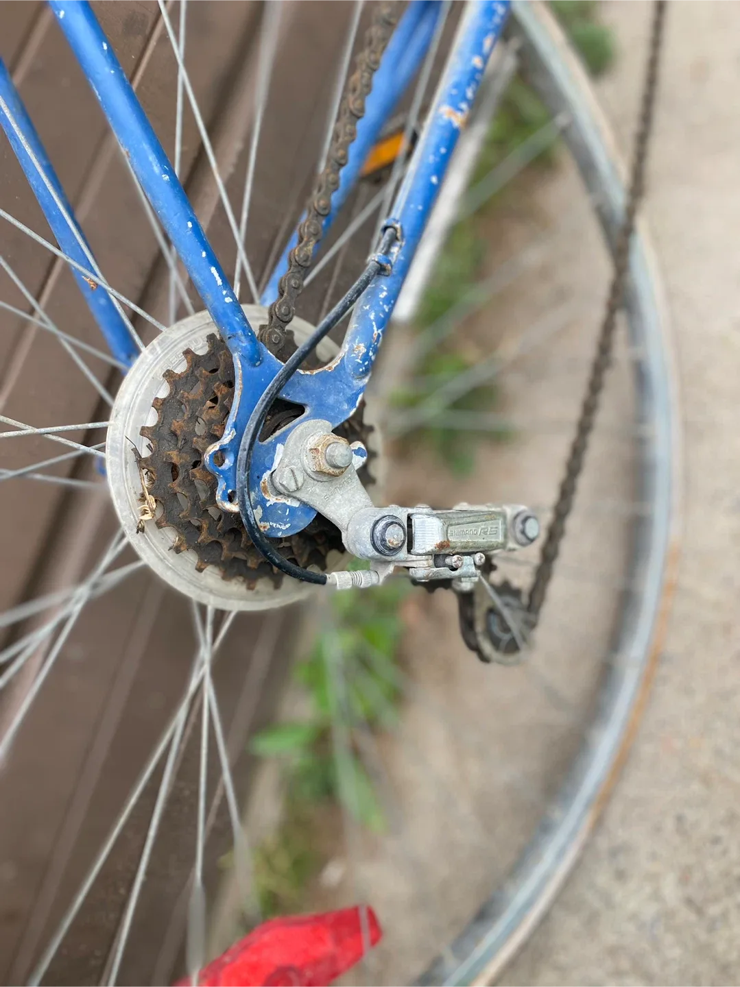 Vintage 1980 super cycle Bicycle - Selle Royal Seat image indicator(5)