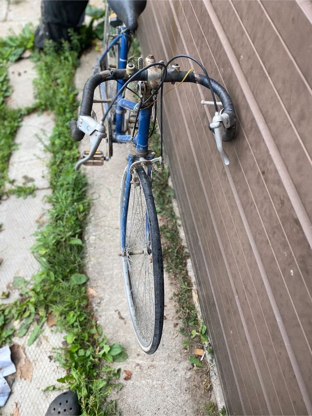 Vintage 1980 super cycle Bicycle - Selle Royal Seat image indicator(2)