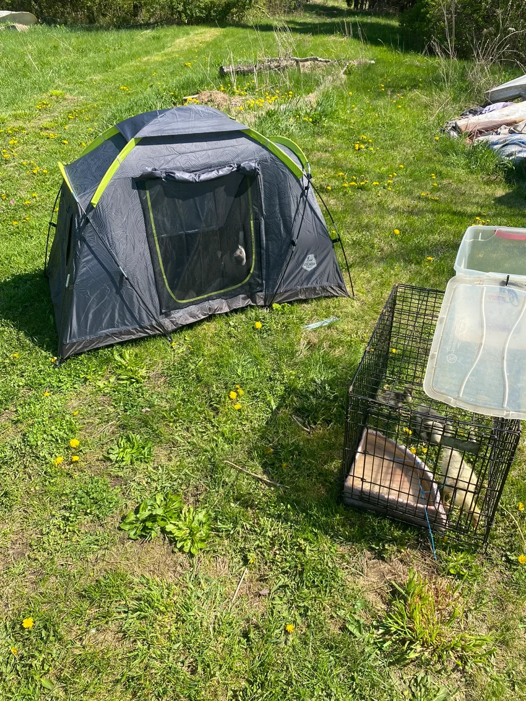 Acadia Gear pet Dome sunshade Tent