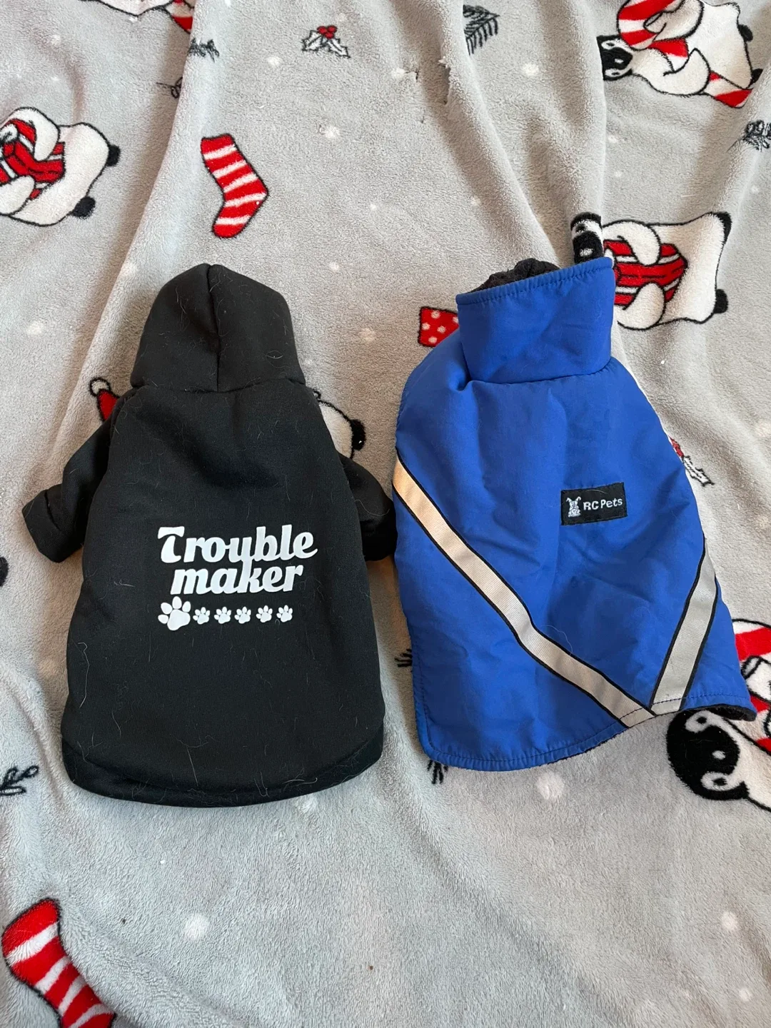 10” XS Dog Jacket & Sweater