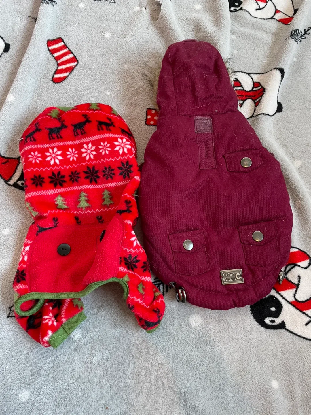 10” XS Dog Winter Coat & Pyjamas