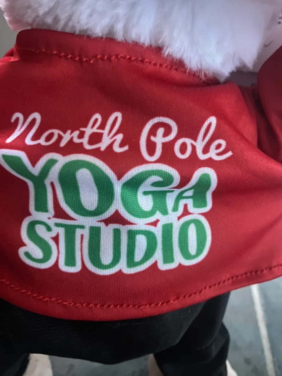 Home Accents Holiday Animated Yoga Santa image indicator(4)