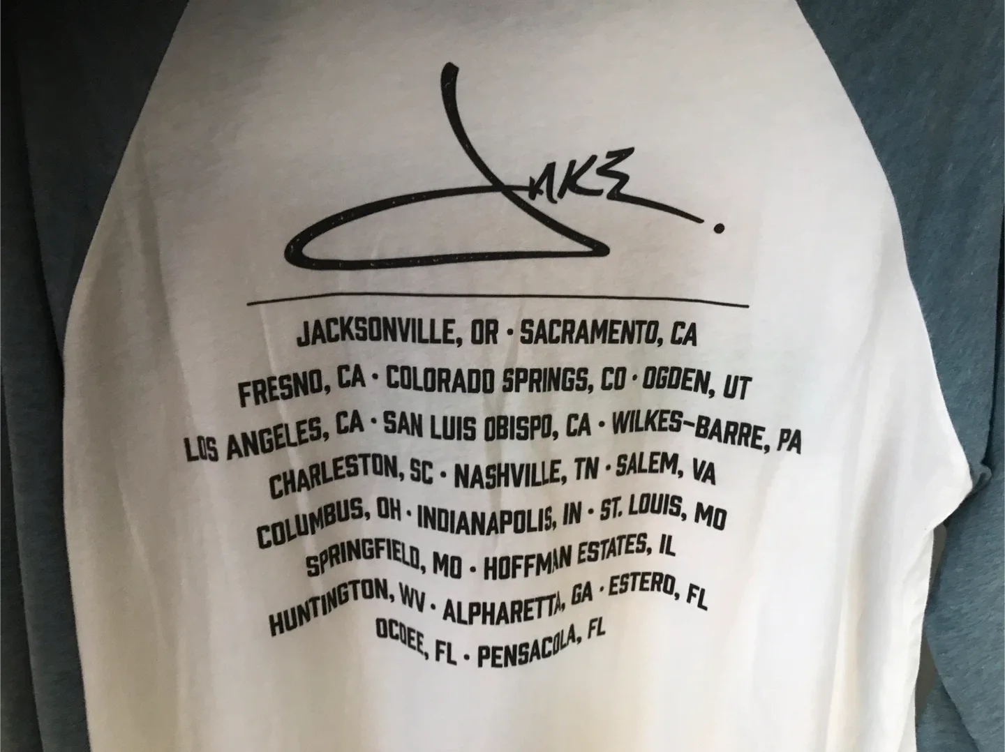 Surf Van Graphic Raglan Tee - L image indicator(5)