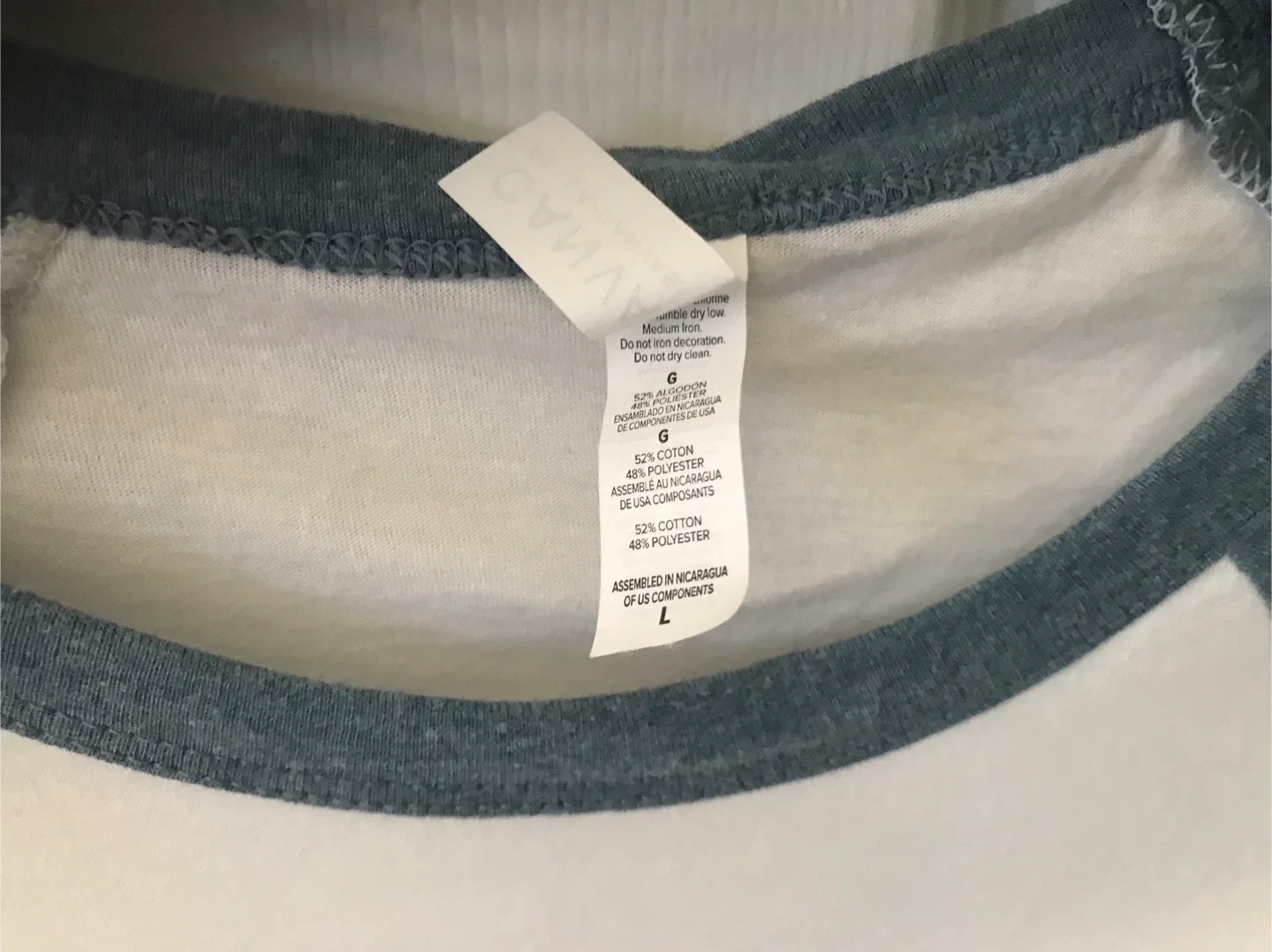 Surf Van Graphic Raglan Tee - L image indicator(9)