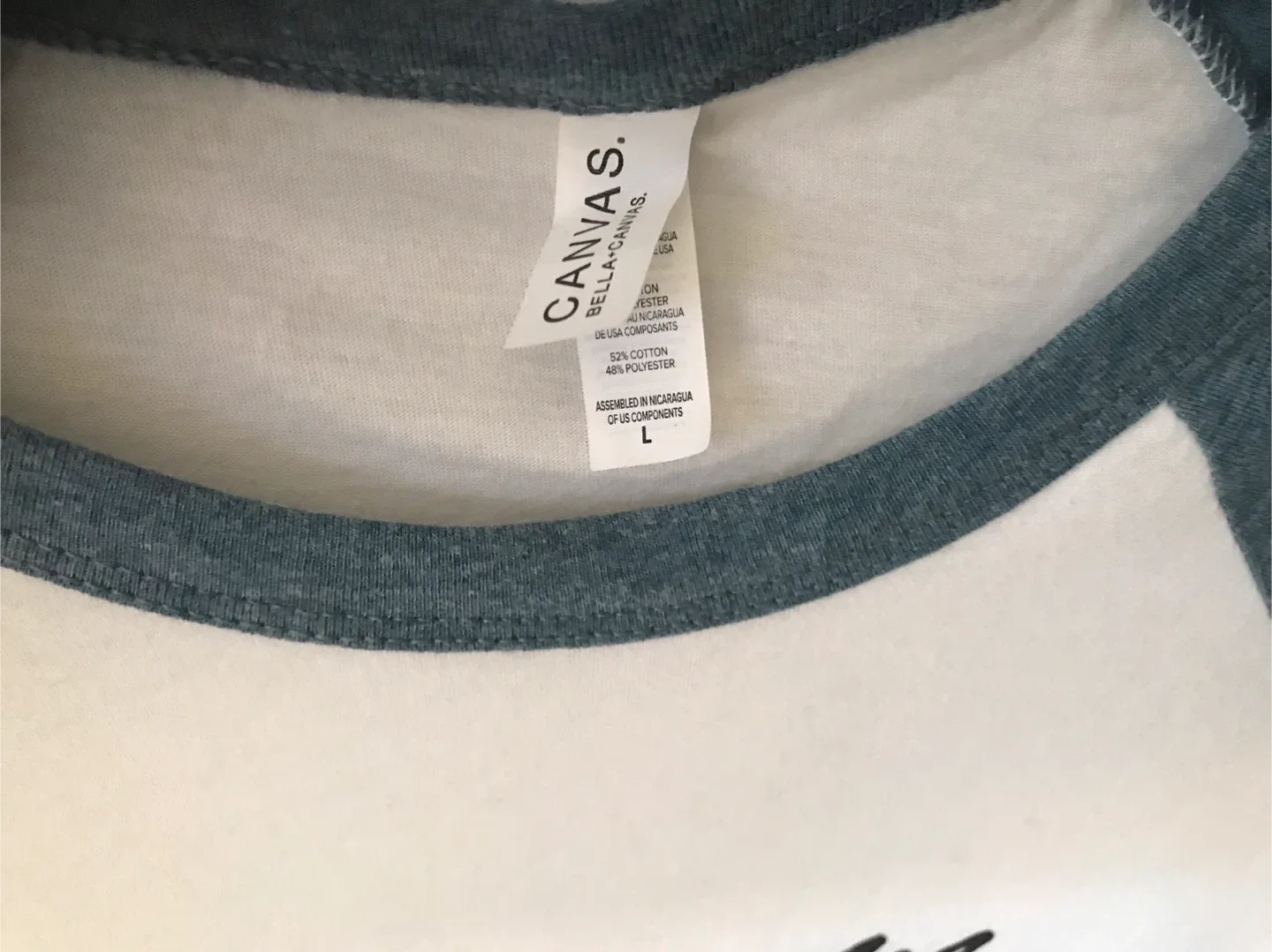 Surf Van Graphic Raglan Tee - L image indicator(8)