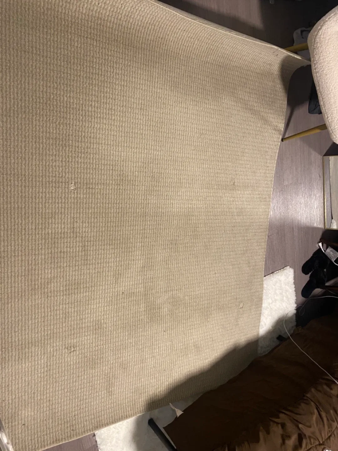 Beige Rug 5’x 7 image indicator(2)