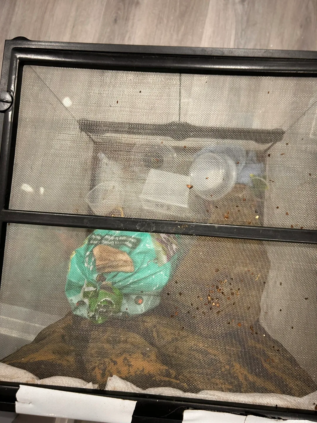 Reptile Terrarium with Accessories image indicator(3)