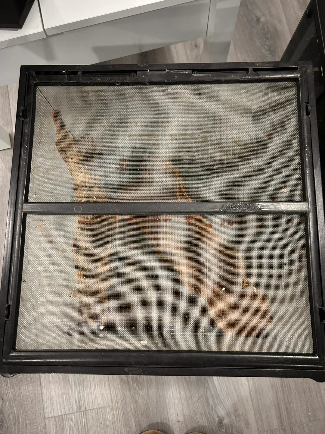 Reptile Terrarium with Accessories image indicator(2)