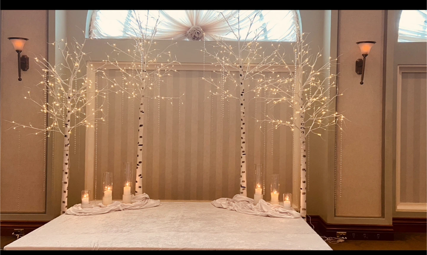 Birch Tree with LED Lights - photo 2