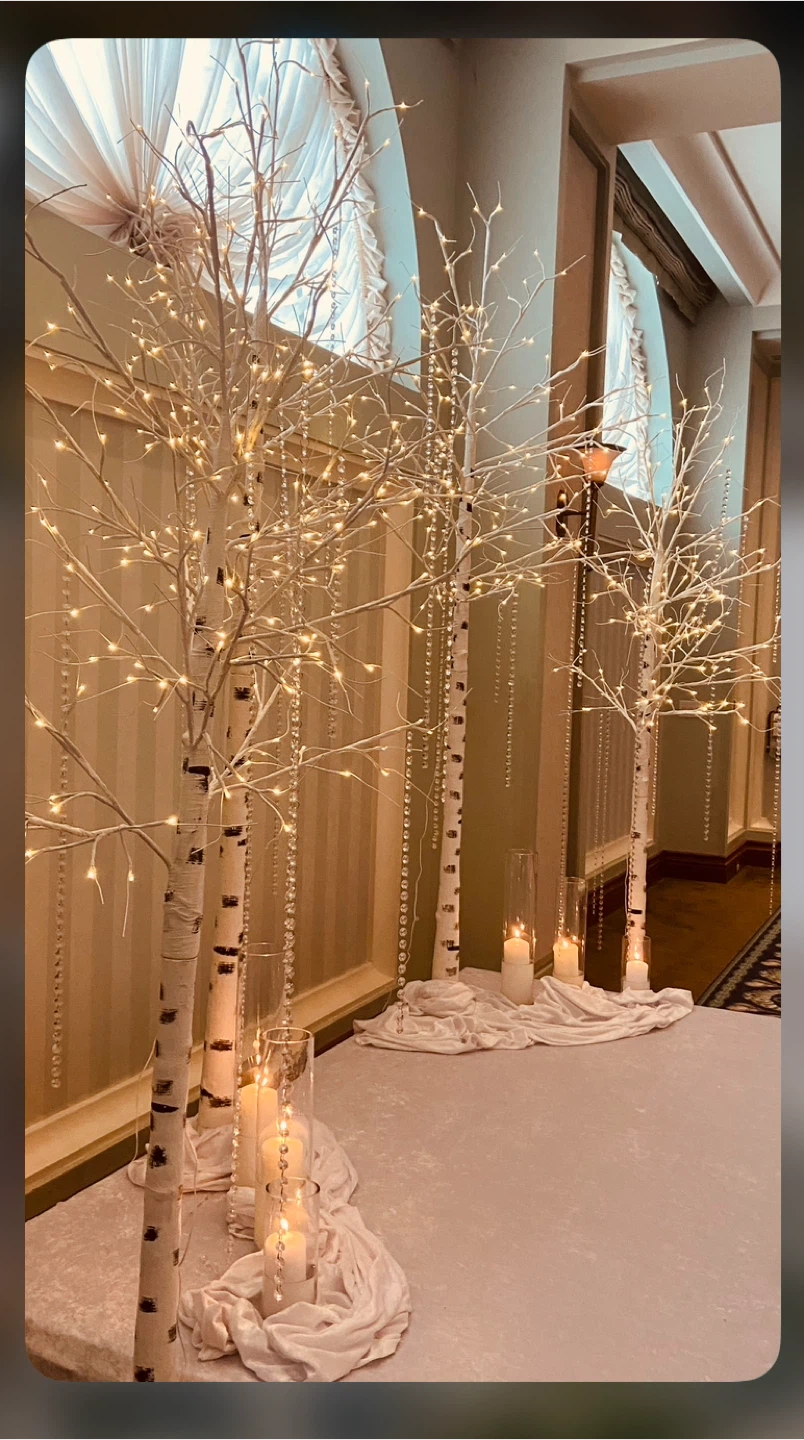 Birch Tree with LED Lights