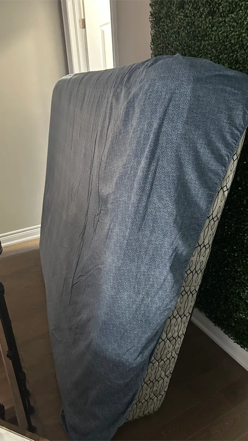 Costco Queen size Upholstered Platform Bed Frame and mattress image indicator(5)