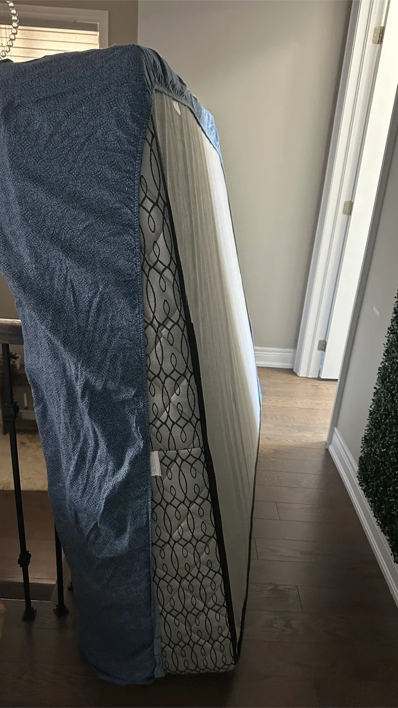 Costco Queen size Upholstered Platform Bed Frame and mattress image indicator(6)