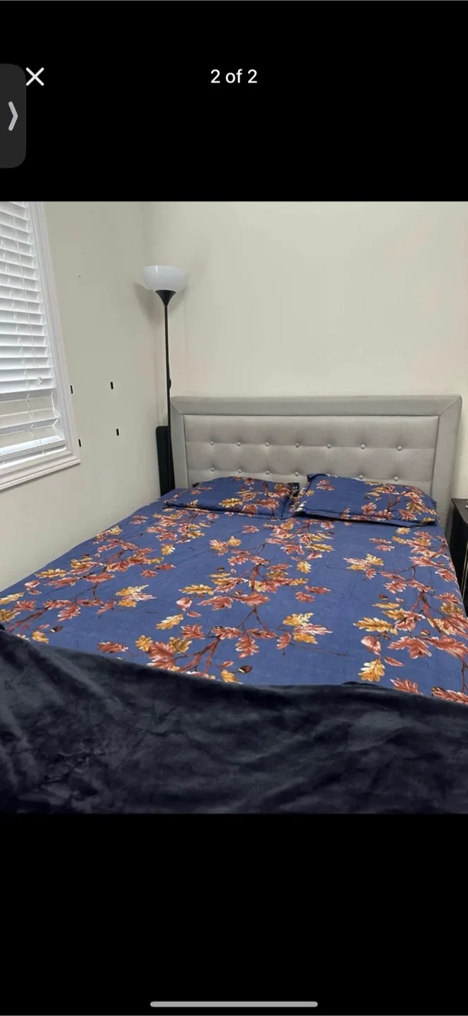 Queen Bed for sale !