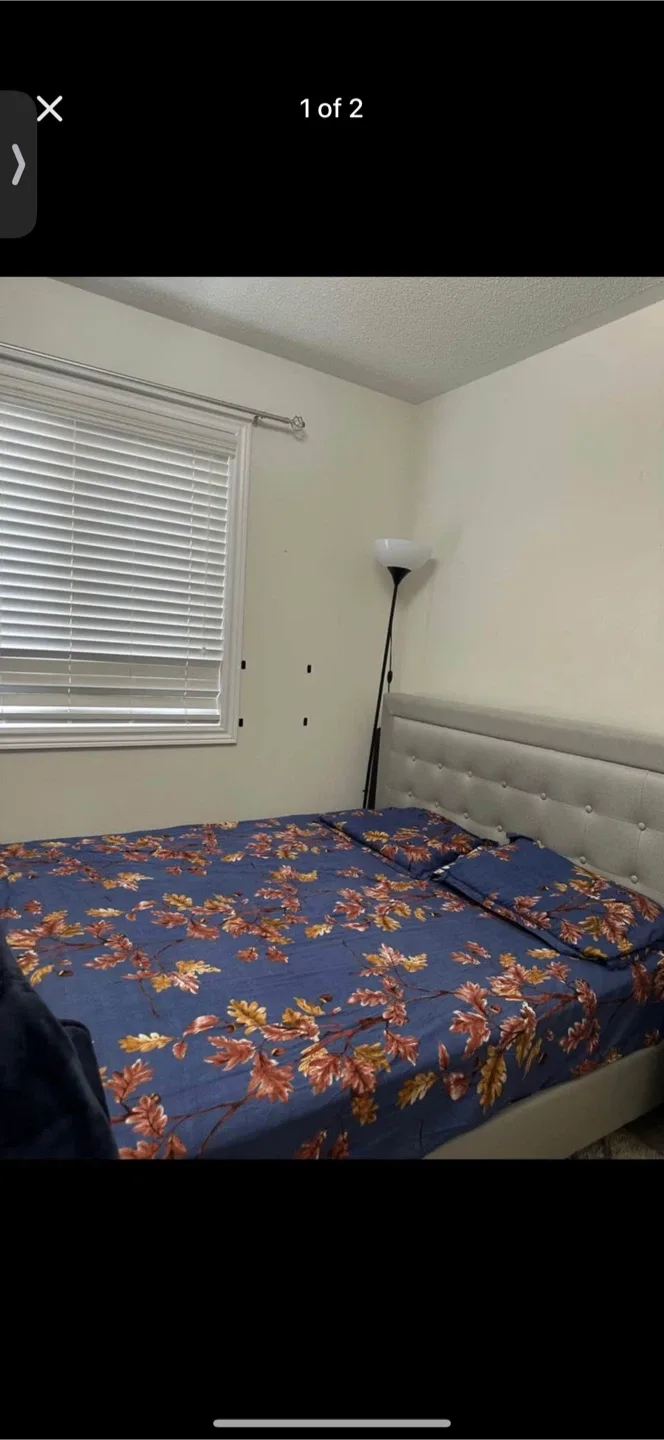 Queen Bed for sale ! image indicator(7)
