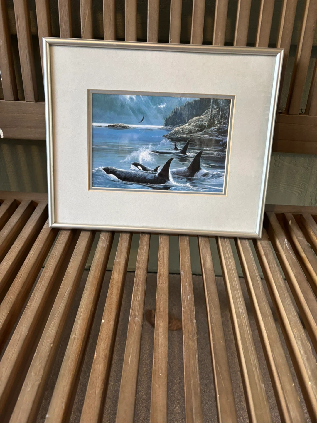 Whale print