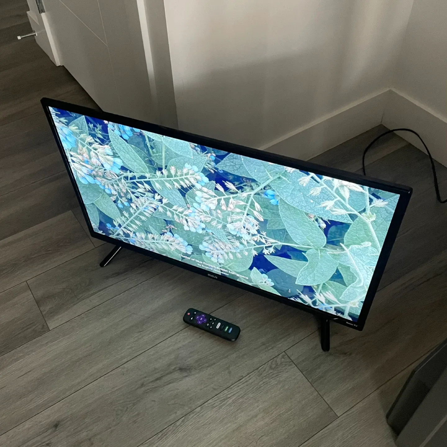 32" RCA Smart TV image indicator(4)