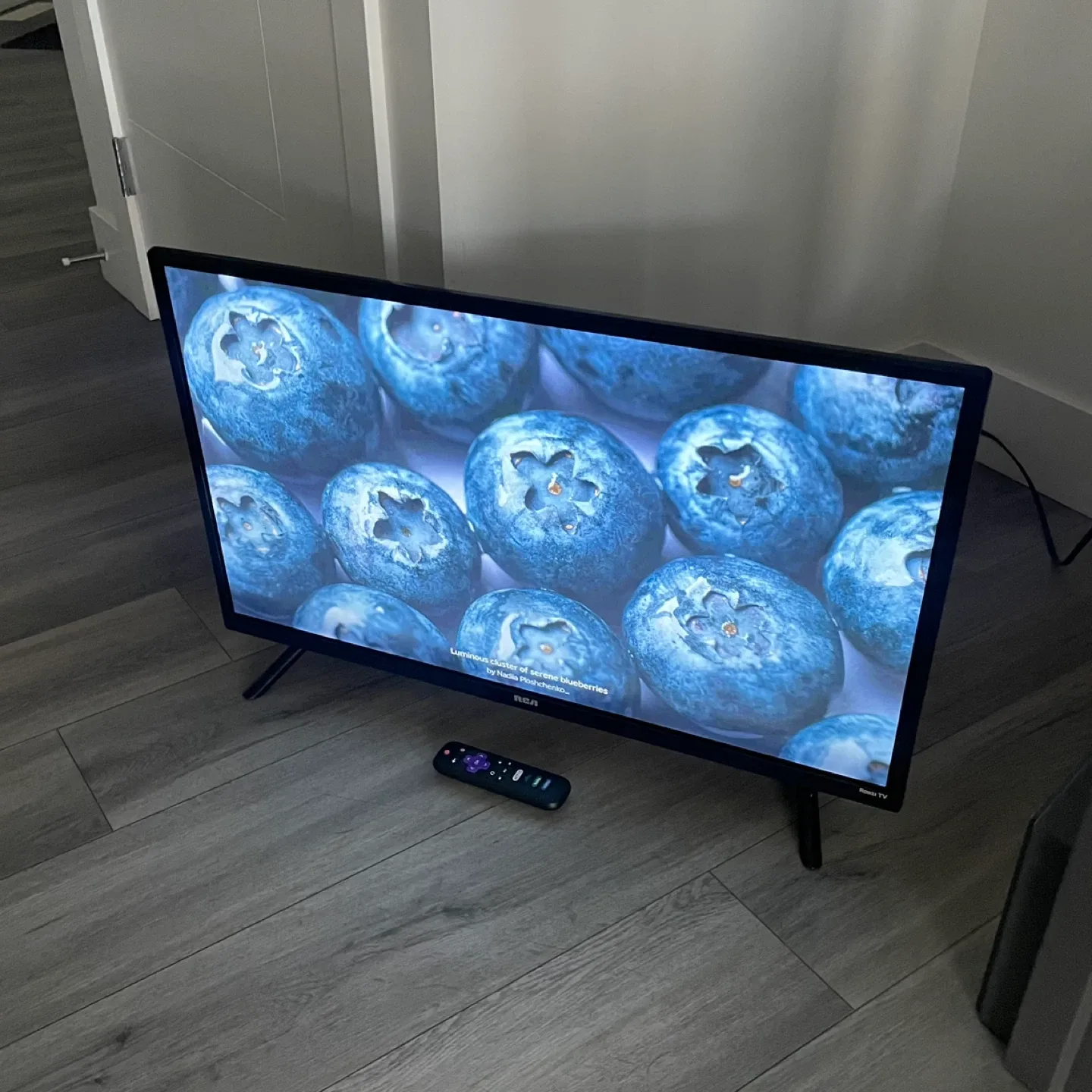 32" RCA Smart TV image indicator(7)