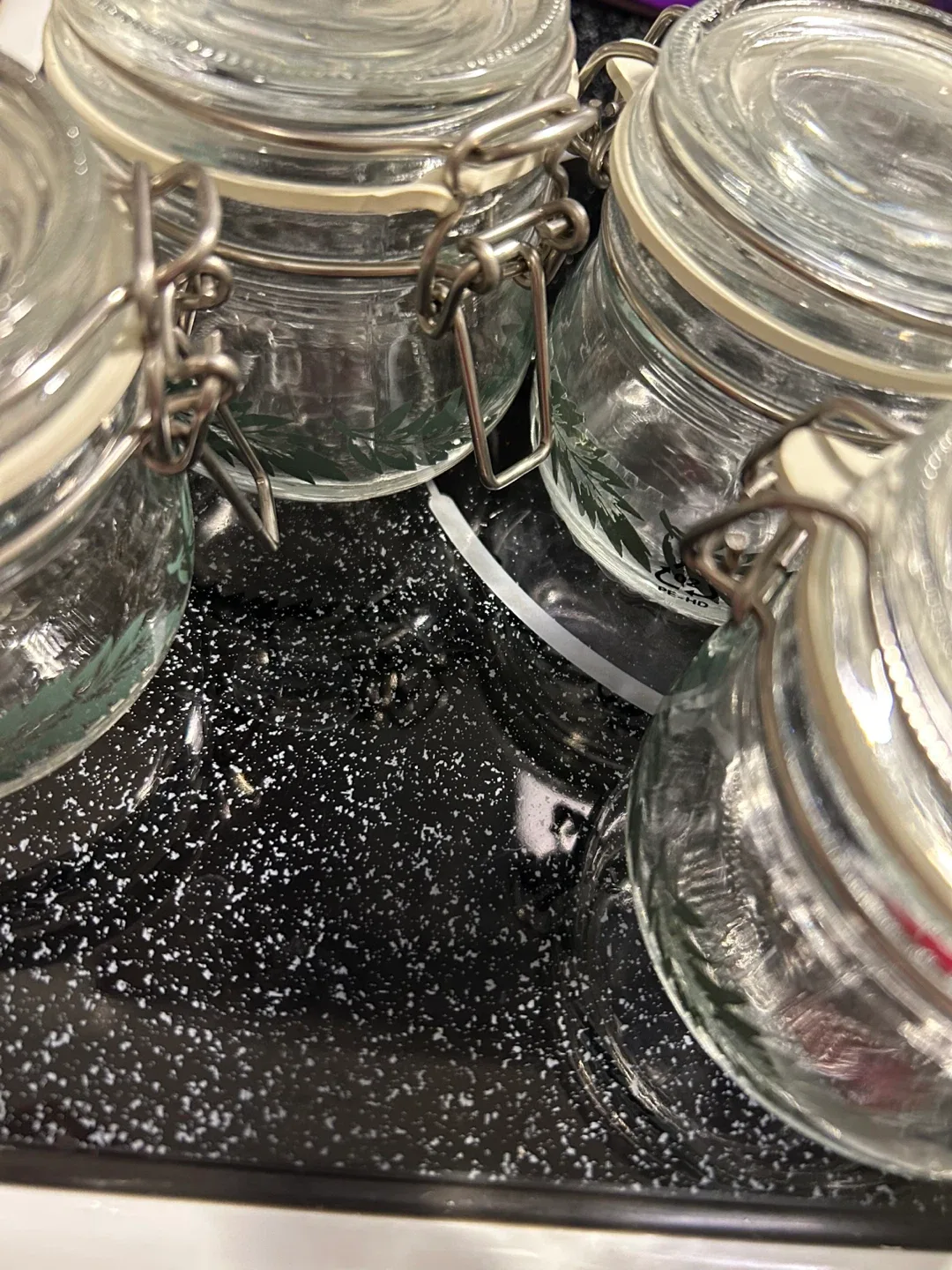 Set of 4 Jars image indicator(5)