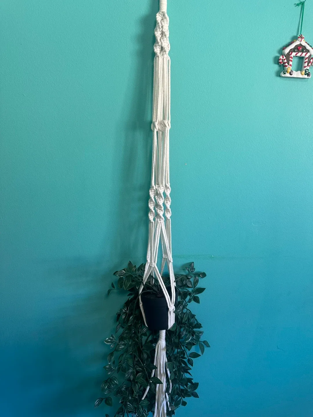 Plant Hanger - Indoor Decor