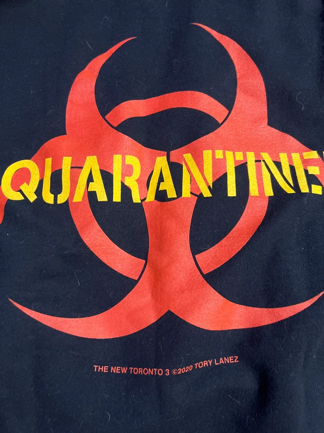 New Toronto 3 Quarantine! Hoodie image indicator(2)