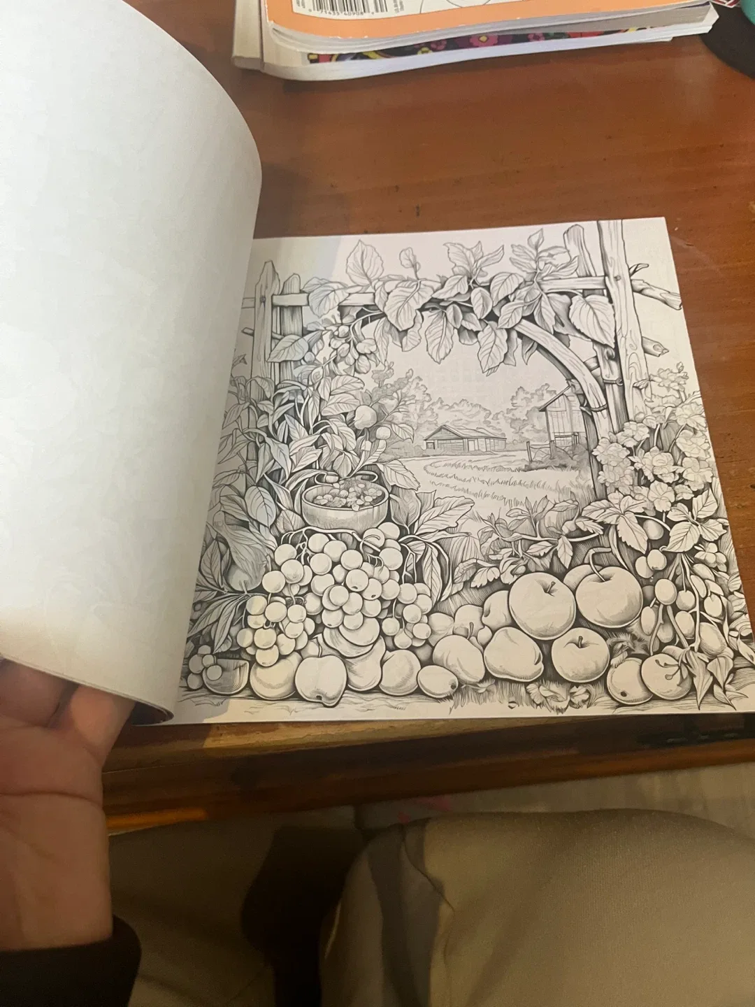 Flowers and Birds & Dreamy Garden Colouring Books image indicator(3)