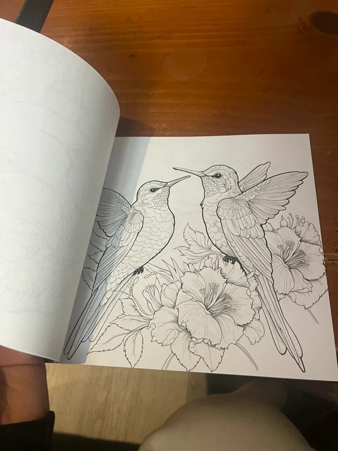 Flowers and Birds & Dreamy Garden Colouring Books image indicator(2)