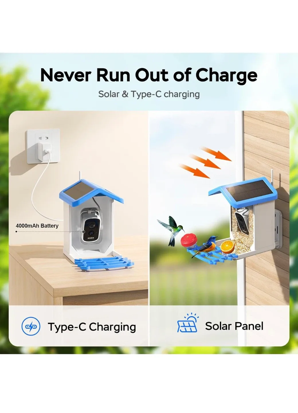 Treebirby Smart Bird Feeder - New in Box! image indicator(4)