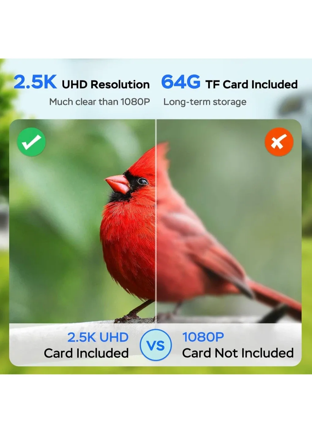 Treebirby Smart Bird Feeder - New in Box! image indicator(3)