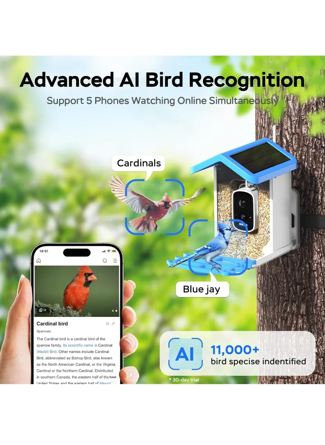 Treebirby Smart Bird Feeder - New in Box! image indicator(5)