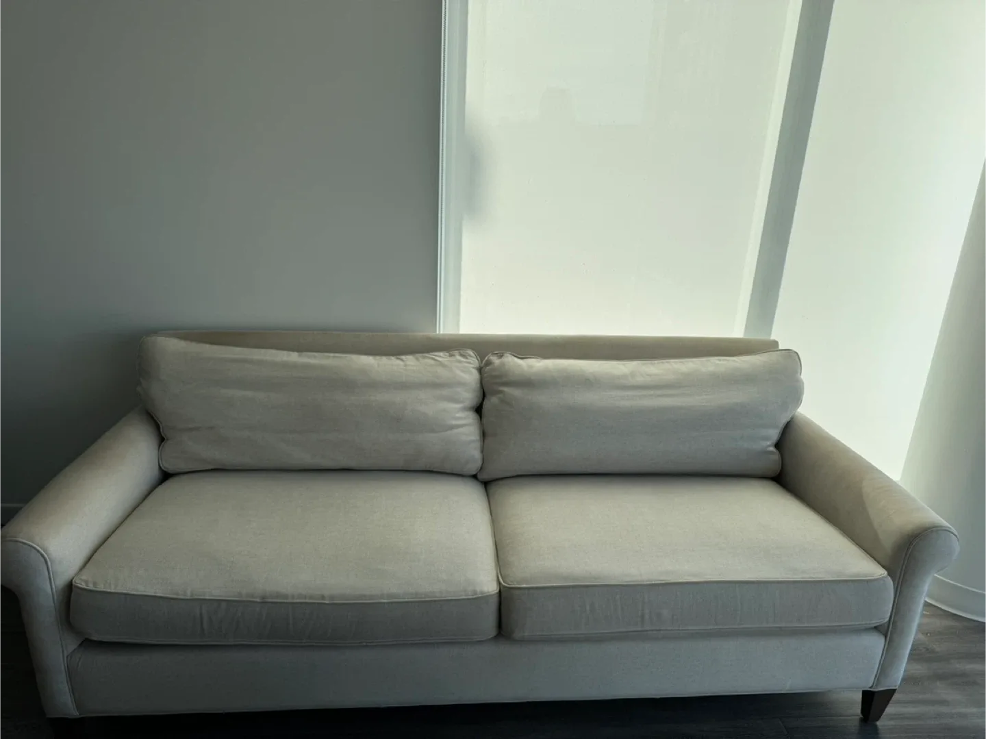 Beige Loveseat Sofa image indicator(4)