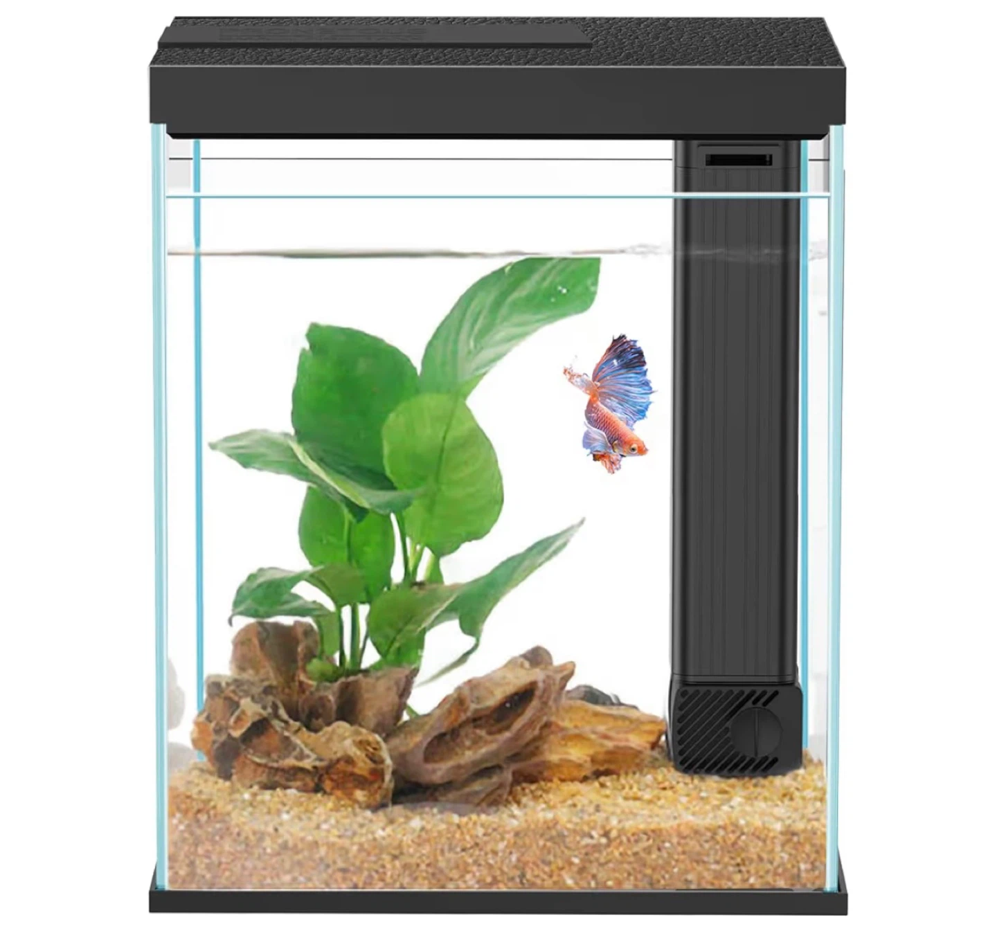 Like new Small Led Glass Fish Tank with Filter and accessories