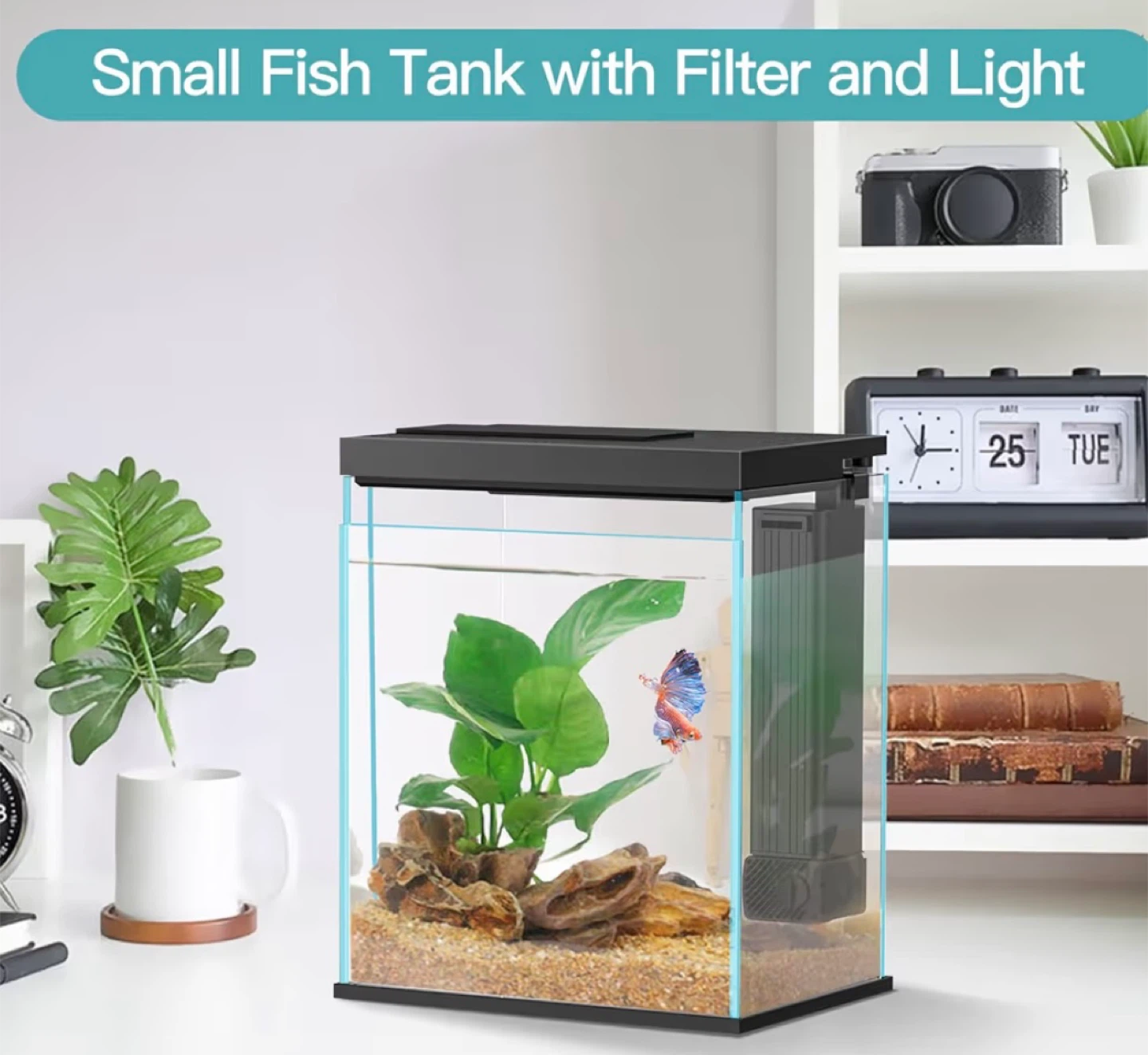Like new Small Led Glass Fish Tank with Filter and accessories - photo 2