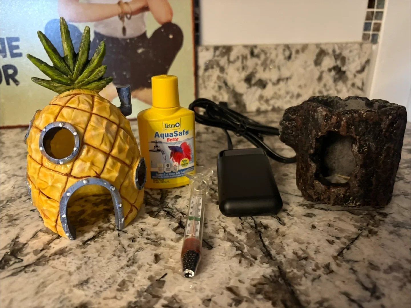 Like New Small Glass Fish Tank with Filter and led Light image indicator(8)