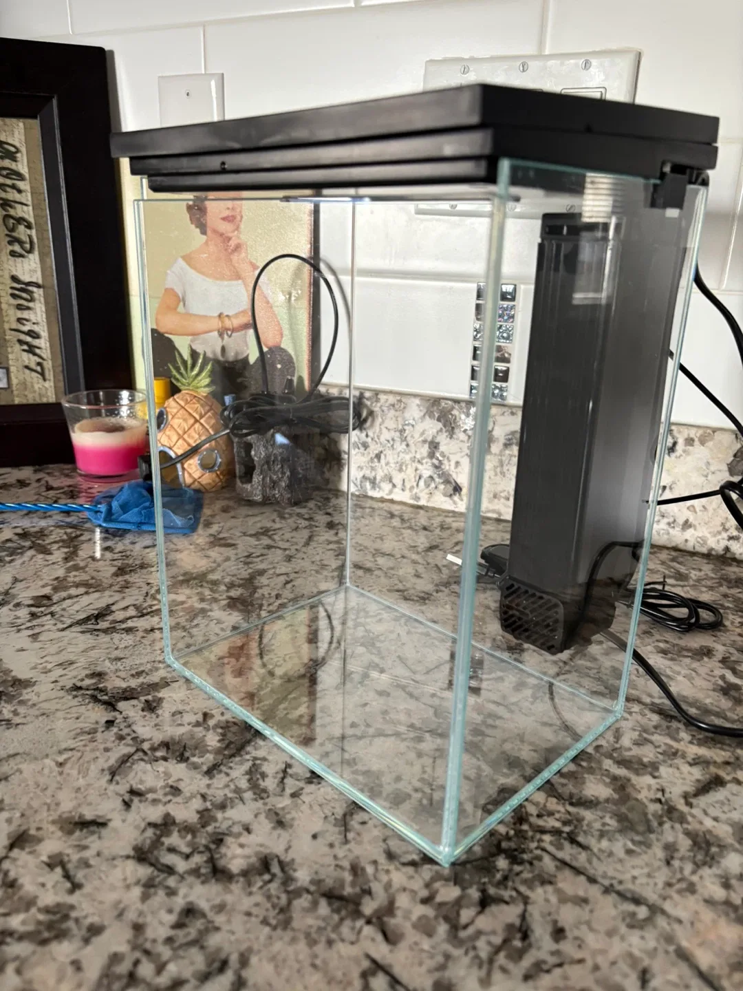 Like New Small Glass Fish Tank with Filter and led Light image indicator(7)