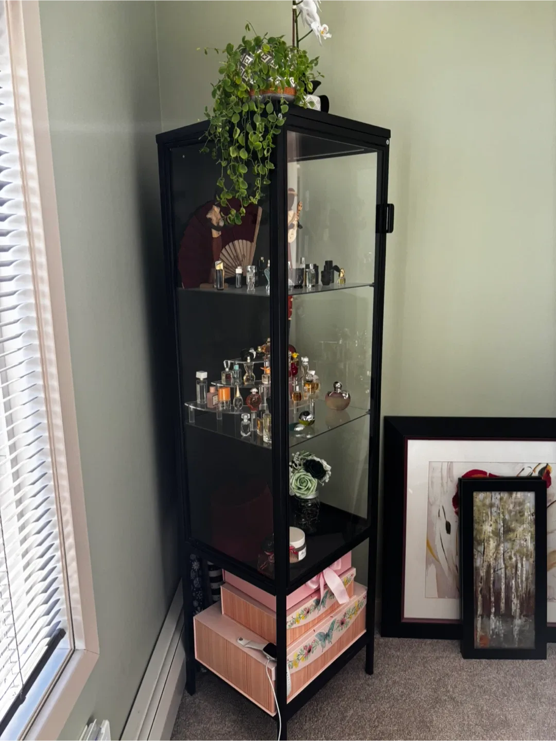 IKEA Rudsta glass cabinet