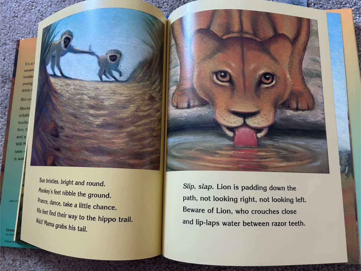 Kids' Books Lot image indicator(4)
