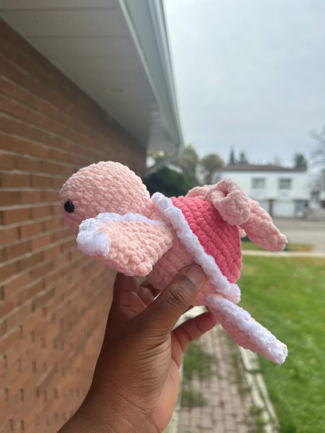 Handmade Crochet Turtle Plushie image indicator(3)