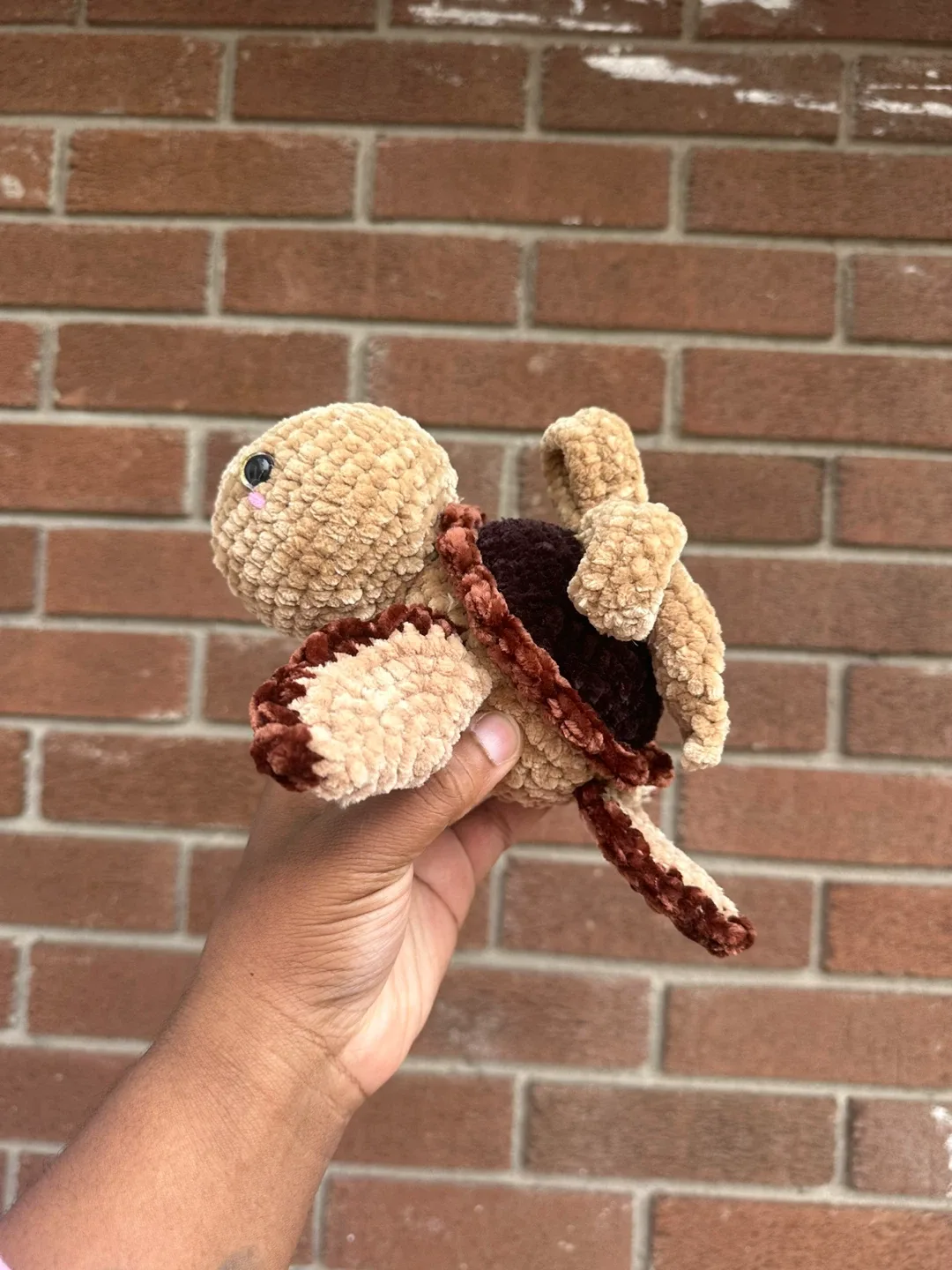 Handmade Crochet Turtle Plushie image indicator(2)