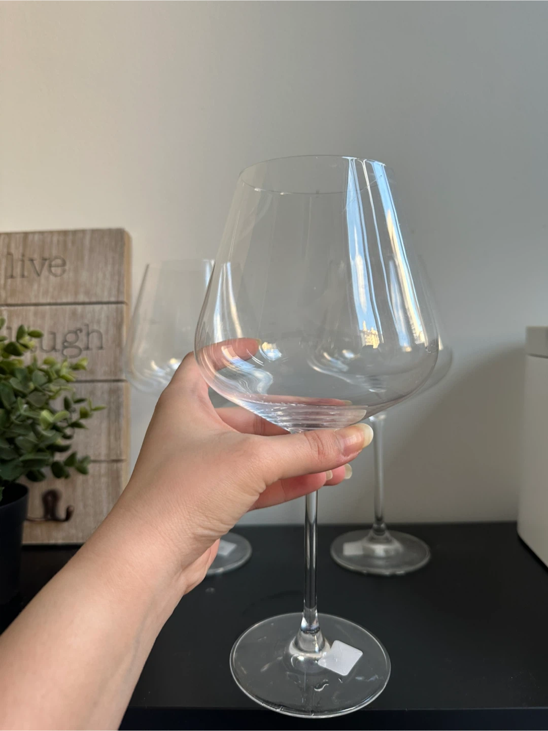 Crate&Barrel Northland Wine Glass - Set of 3