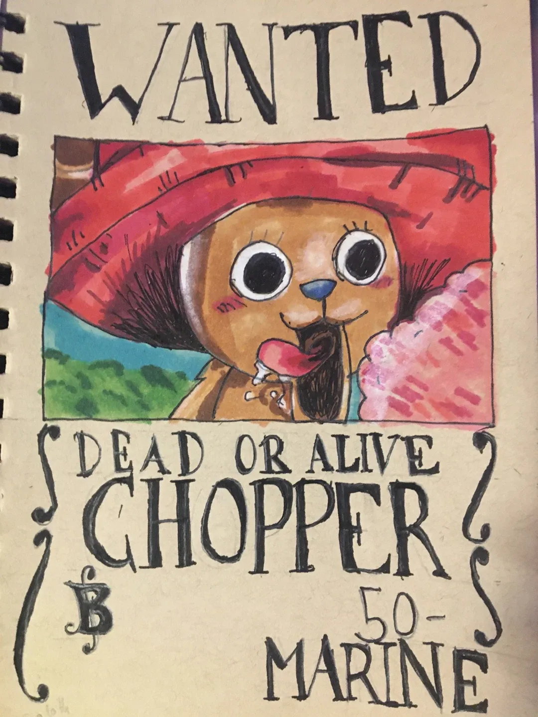 Wanted Posters From The Anime One piece image indicator(4)