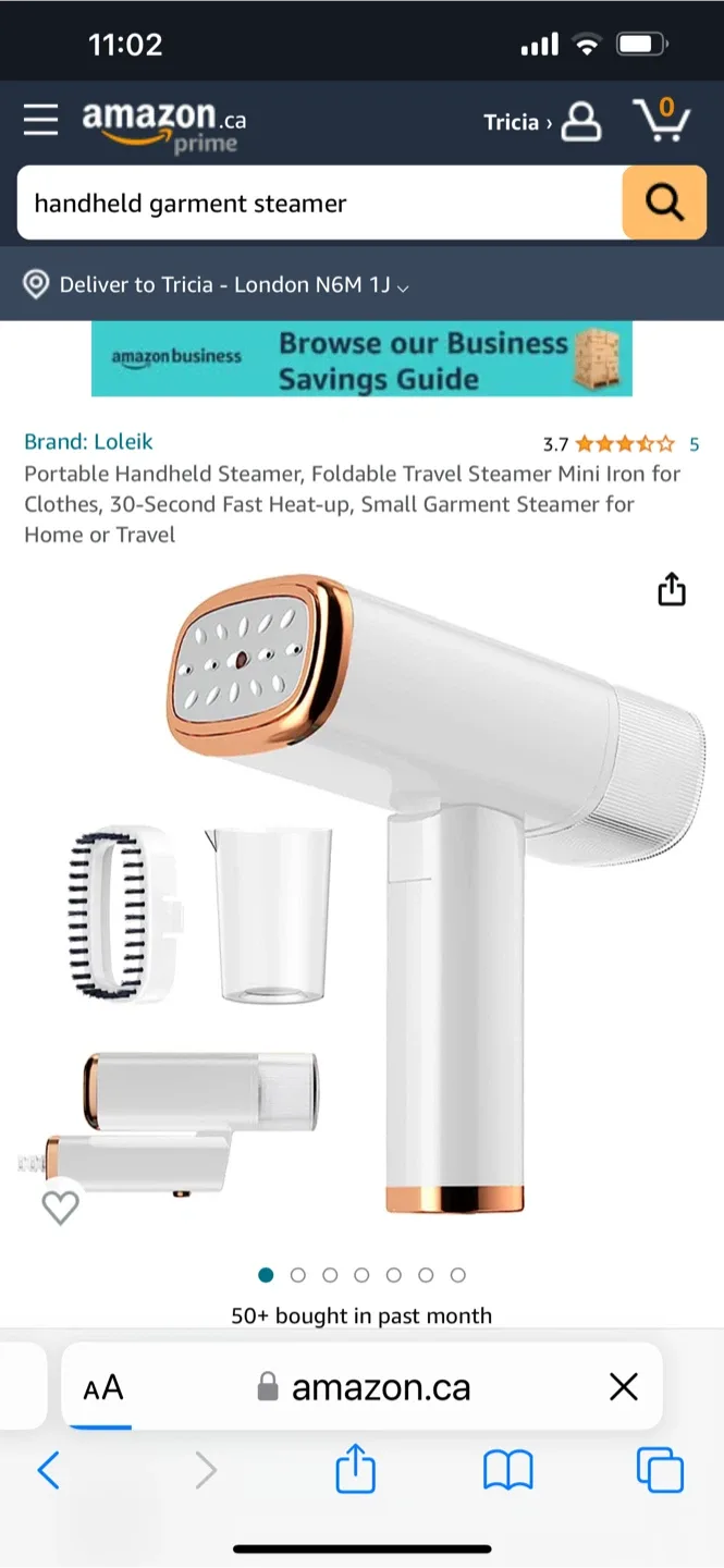 Loleik Portable Handheld Garment Steamer