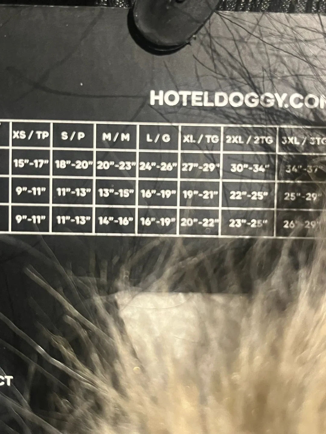 Hotel Doggy Puffer Vest - Small image indicator(4)