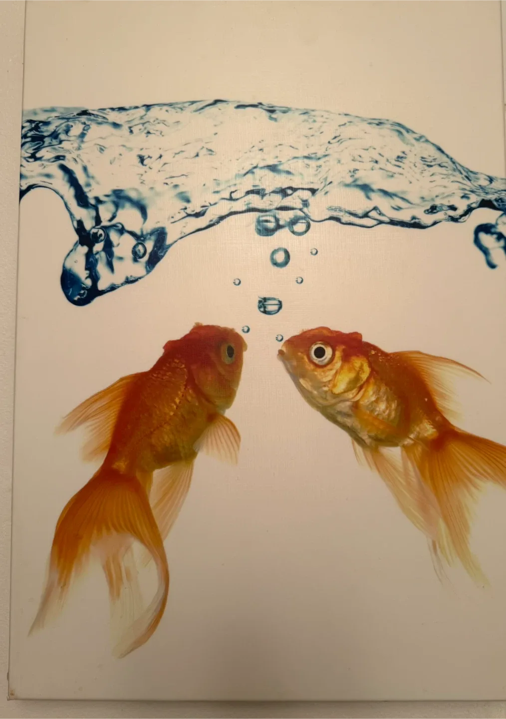 Fish Wall Art