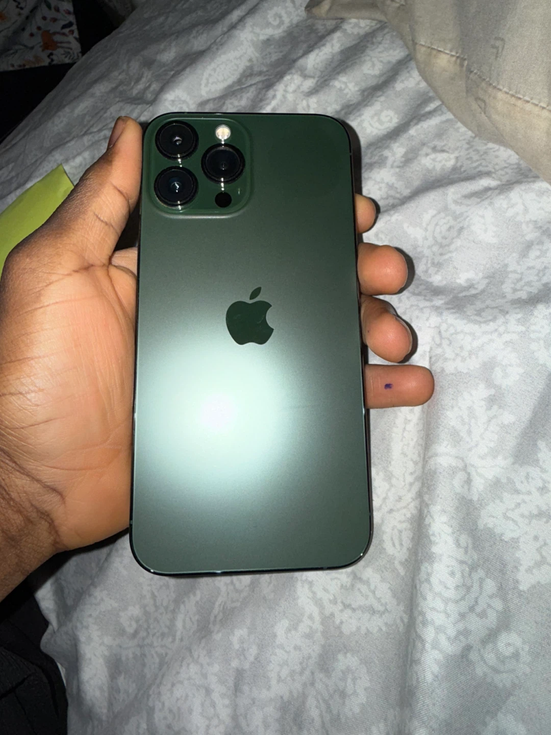 iPhone 13 Pro Max Green