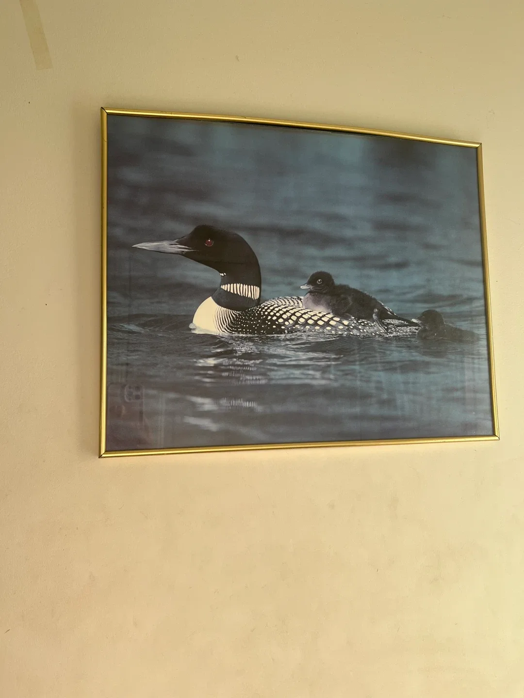 Painting Frames Canvas Home Decoration Wall image indicator(7)