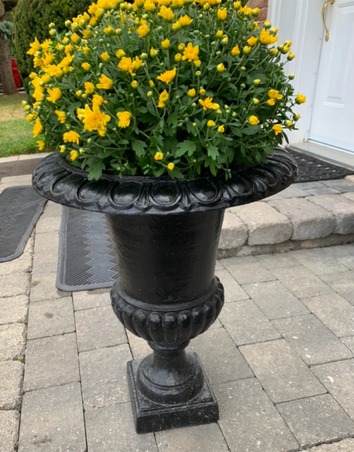 Heavy cast iron vintage urn garden planter