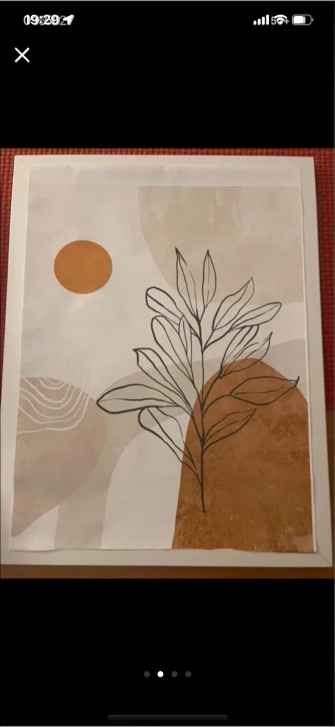 Set of two paintings plus frames image indicator(2)